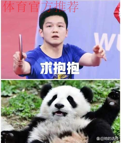 《熊猫说球》第四集:球员 《熊猫说球》第四集:球员